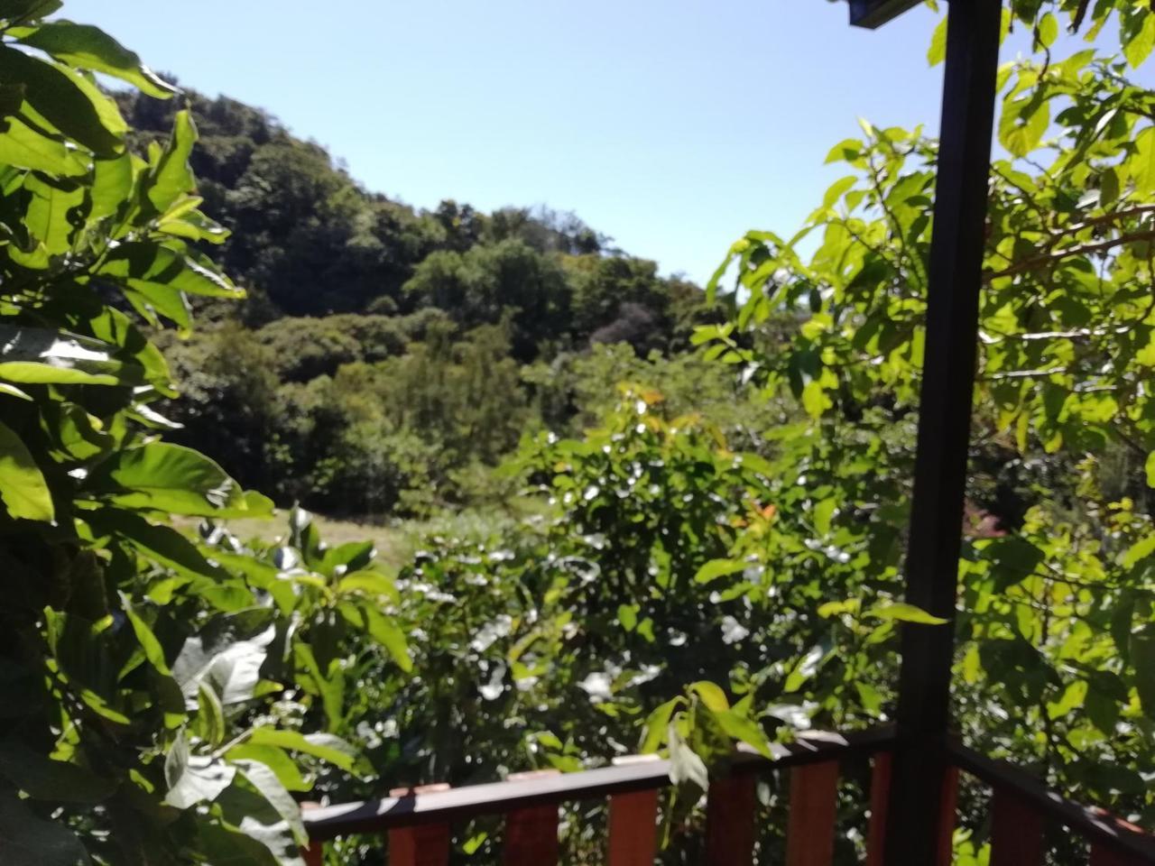 La Guayaba Monteverde Exterior foto